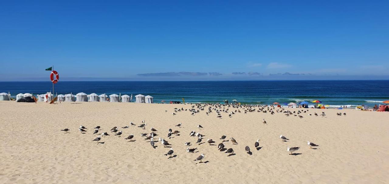 Big Fish 1 - Charming Beach Apartment Praia de Mira Exterior foto