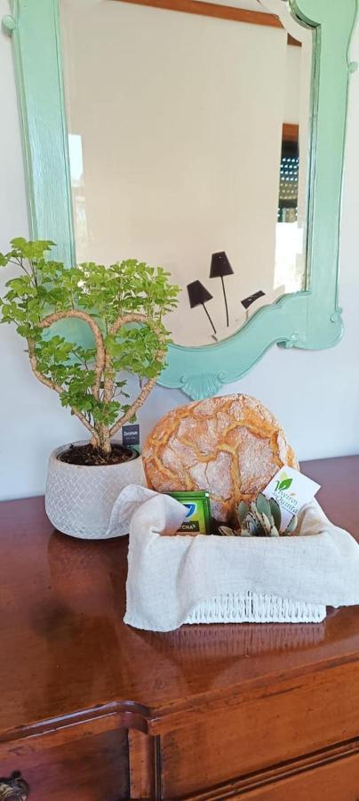 Big Fish 1 - Charming Beach Apartment Praia de Mira Exterior foto