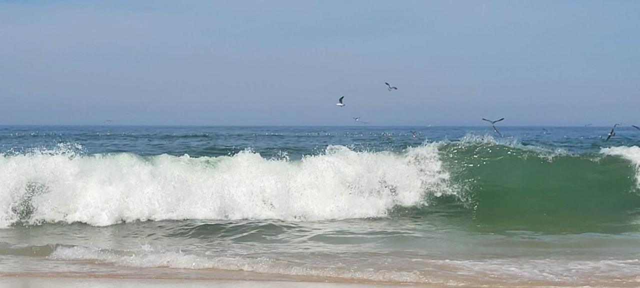 Big Fish 1 - Charming Beach Apartment Praia de Mira Exterior foto